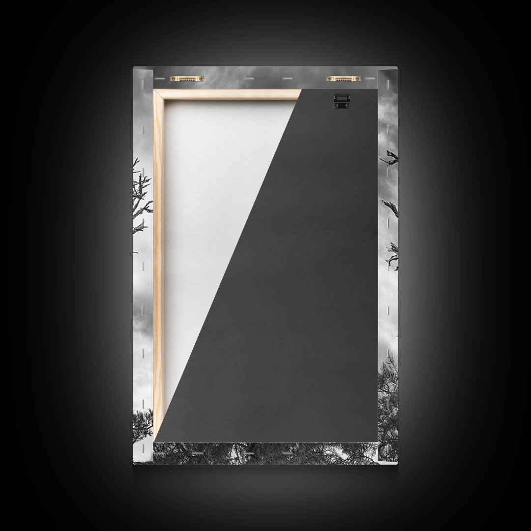 Bald Eagle, bird art, nature photography, moody art, rustic decor, patriotic wall art, black and white, framed canvas print, wildlife art