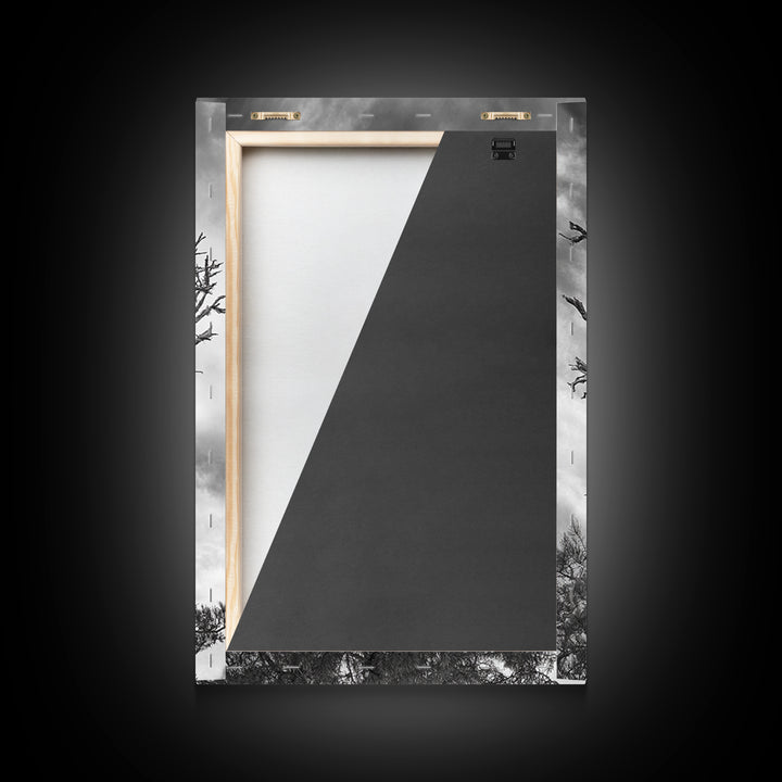 Bald Eagle, bird art, nature photography, moody art, rustic decor, patriotic wall art, black and white, framed canvas print, wildlife art