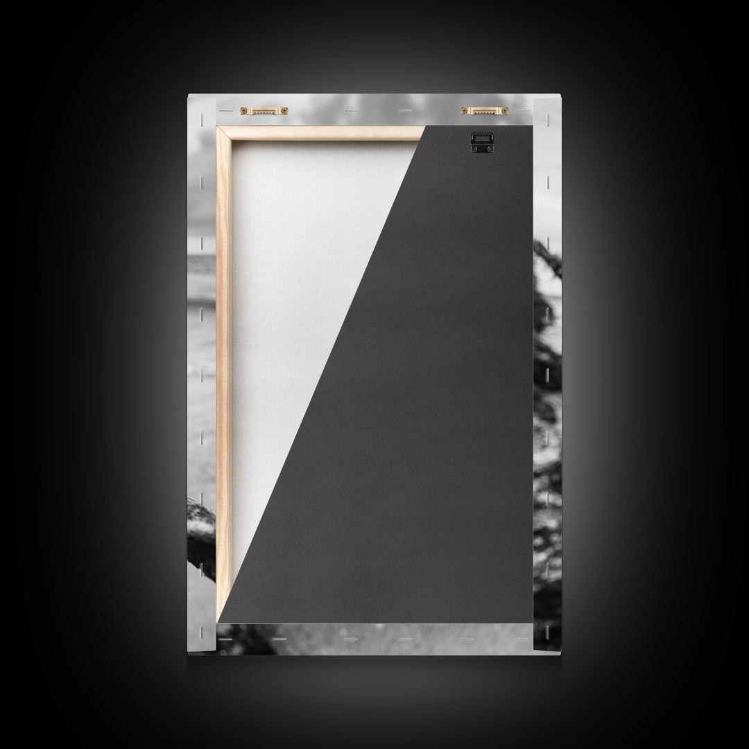 Barbed Wire, ocean view, rustic decor, coastal cowgirl wall art, wabi sabi art, moody photography, framed canvas print, minimalist art