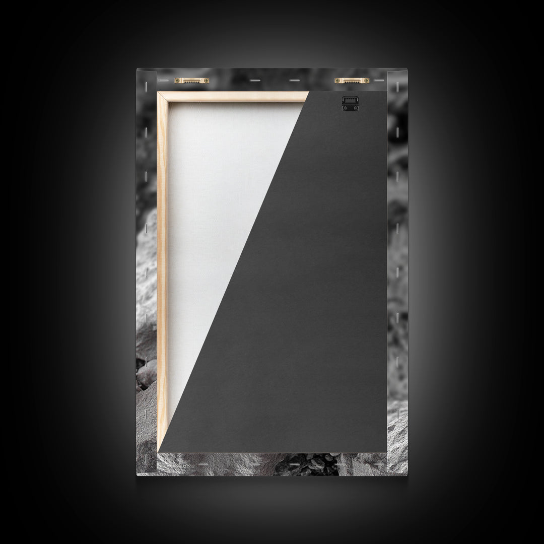 Blooming cactus, botanical print, desert flora, framed canvas print, nature decor, succulent wall art, pink flowers, southwest painting