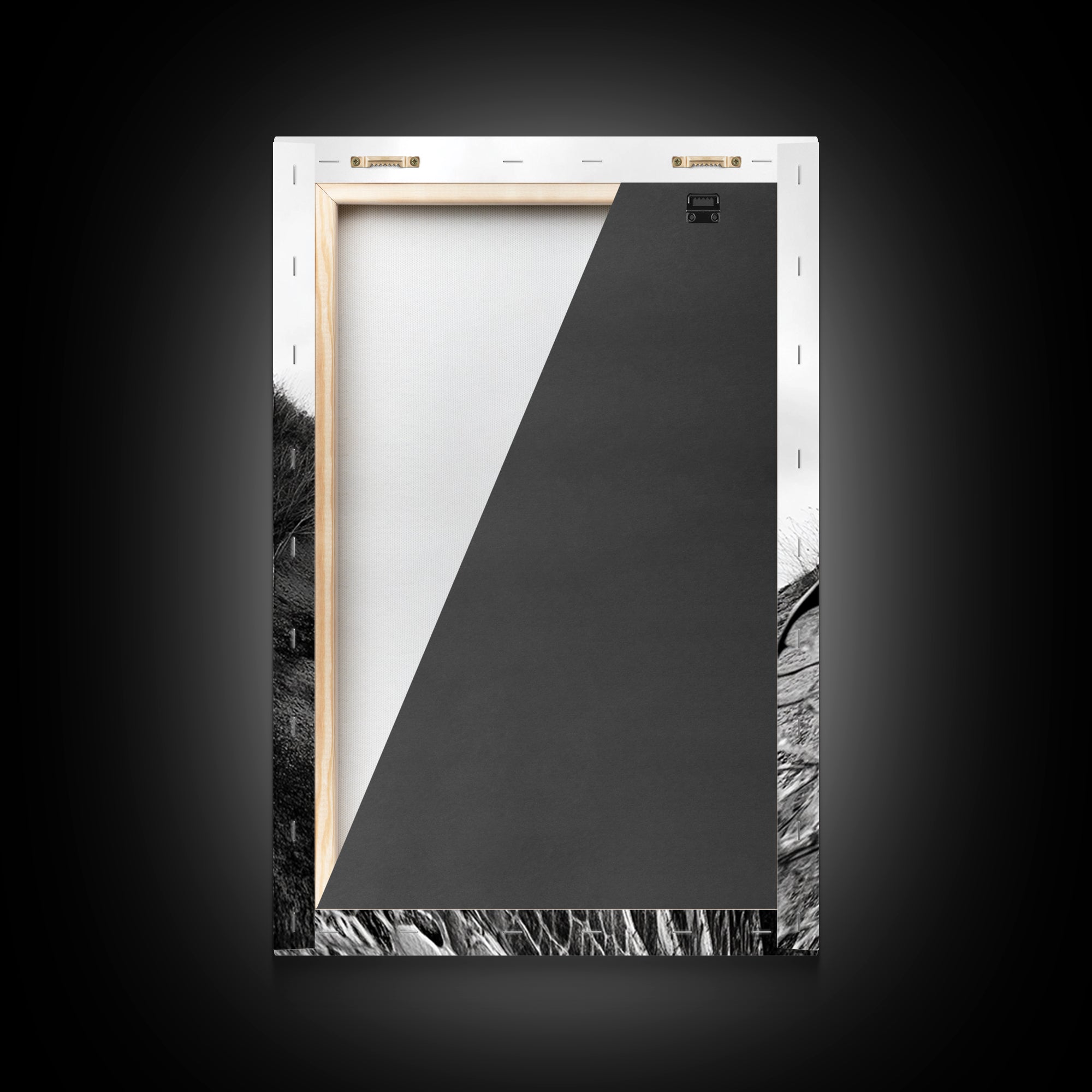 Dragonfly Wing, nature photography, moody art, wabi sabi art, minimalist art, botanical prints, framed canvas print, rustic wall art