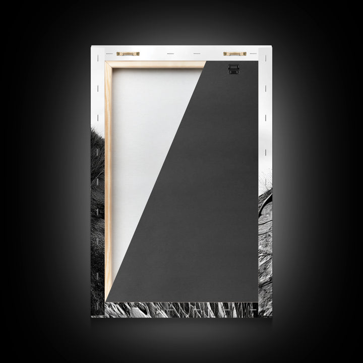 Dragonfly Wing, nature photography, moody art, wabi sabi art, minimalist art, botanical prints, framed canvas print, rustic wall art