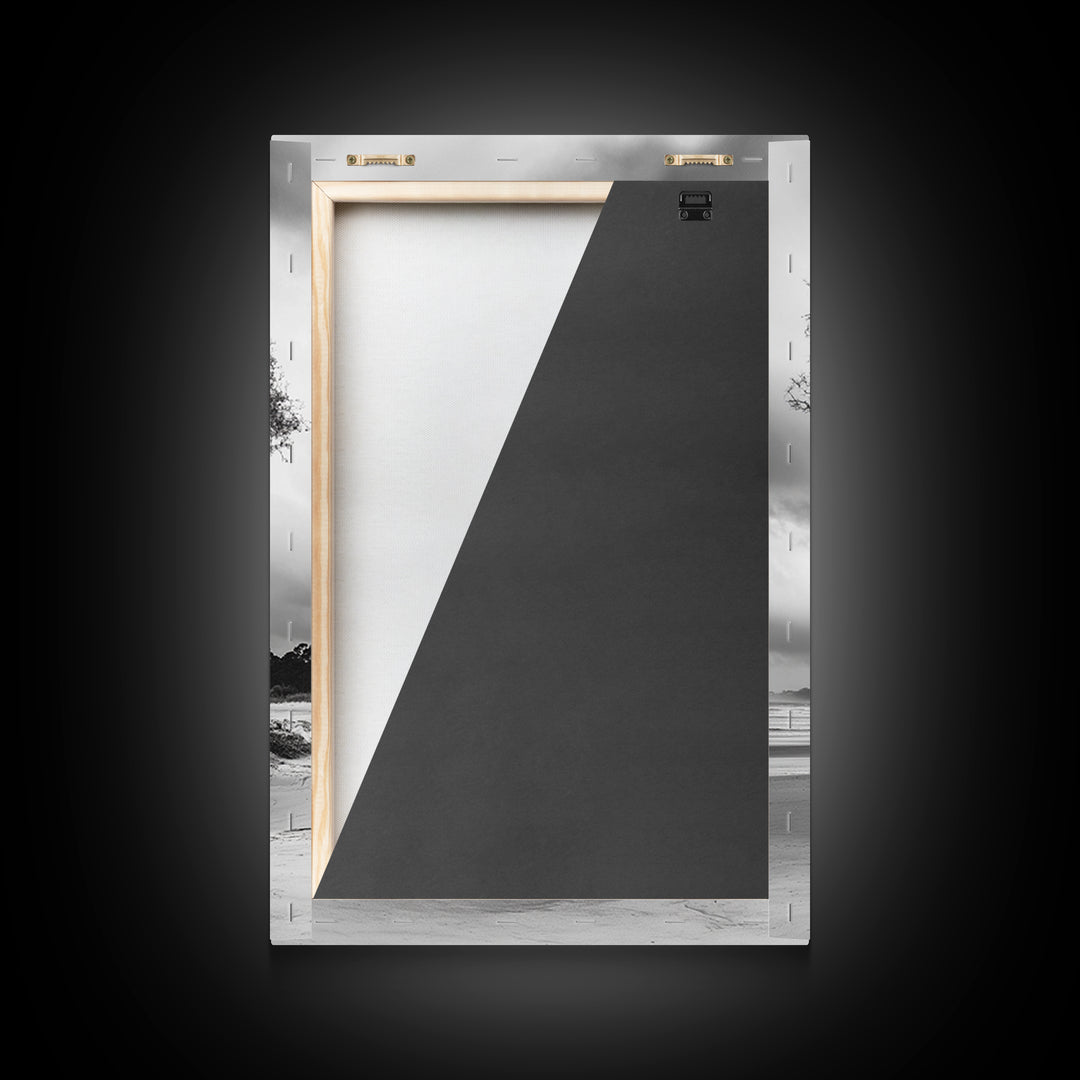 Bald eagle, nature wall art, moody art, wildlife photography, tree art, black and white art, above bed wall art, framed canvas print