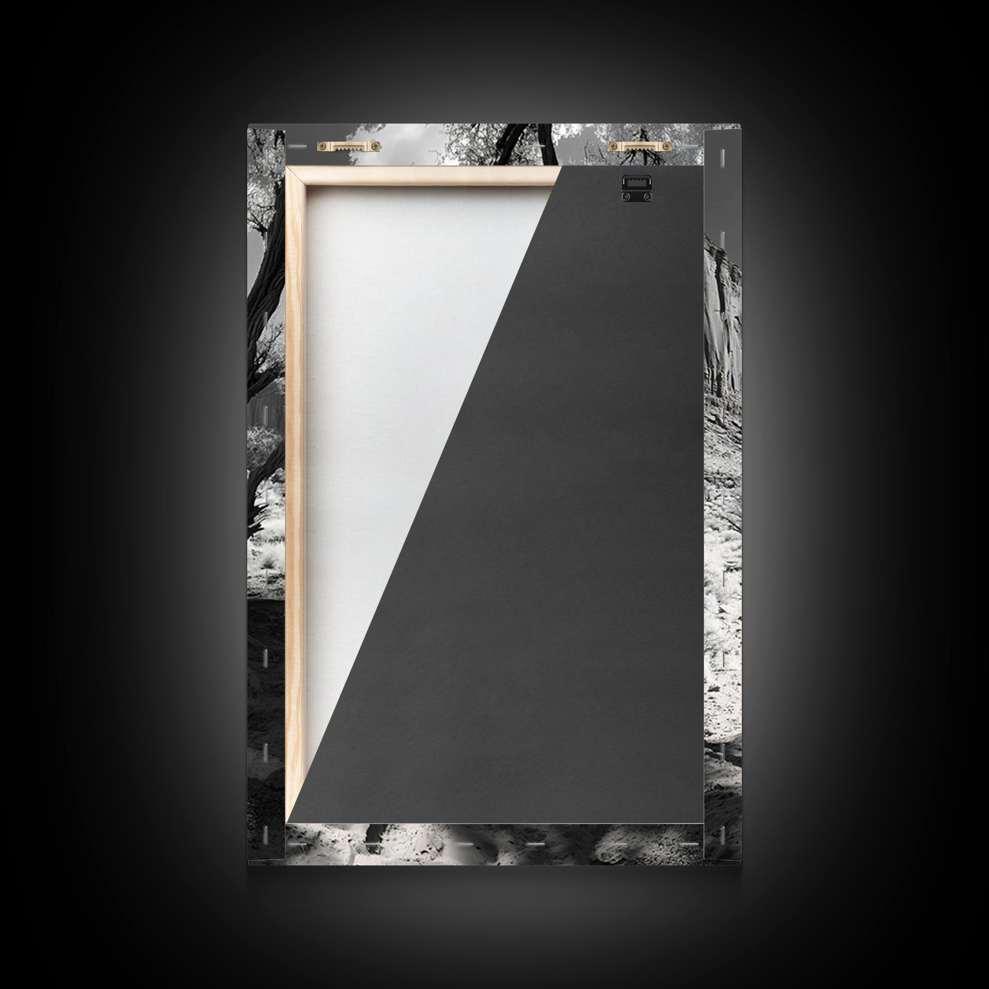 Desert landscape, Joshua tree art, western wall art, framed canvas print, southwest decor, black and white nature, rustic desert scene