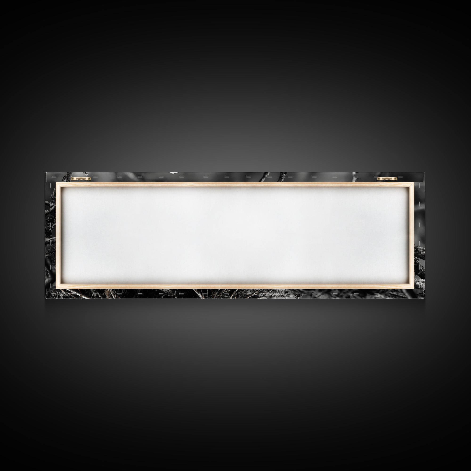 Bald Eagle, Nature Wall Art, Rustic Art, Wildlife Photography, Bird Art, Above Sofa Art, Panoramic Art, Framed Canvas Print