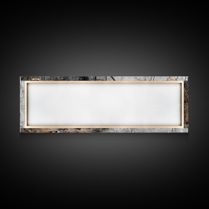 Coyote in Forest, Wildlife Wall Art, Rustic Decor, Nature Art, Moody Art, Extra Wide Art, Panoramic Art, Framed Canvas Print