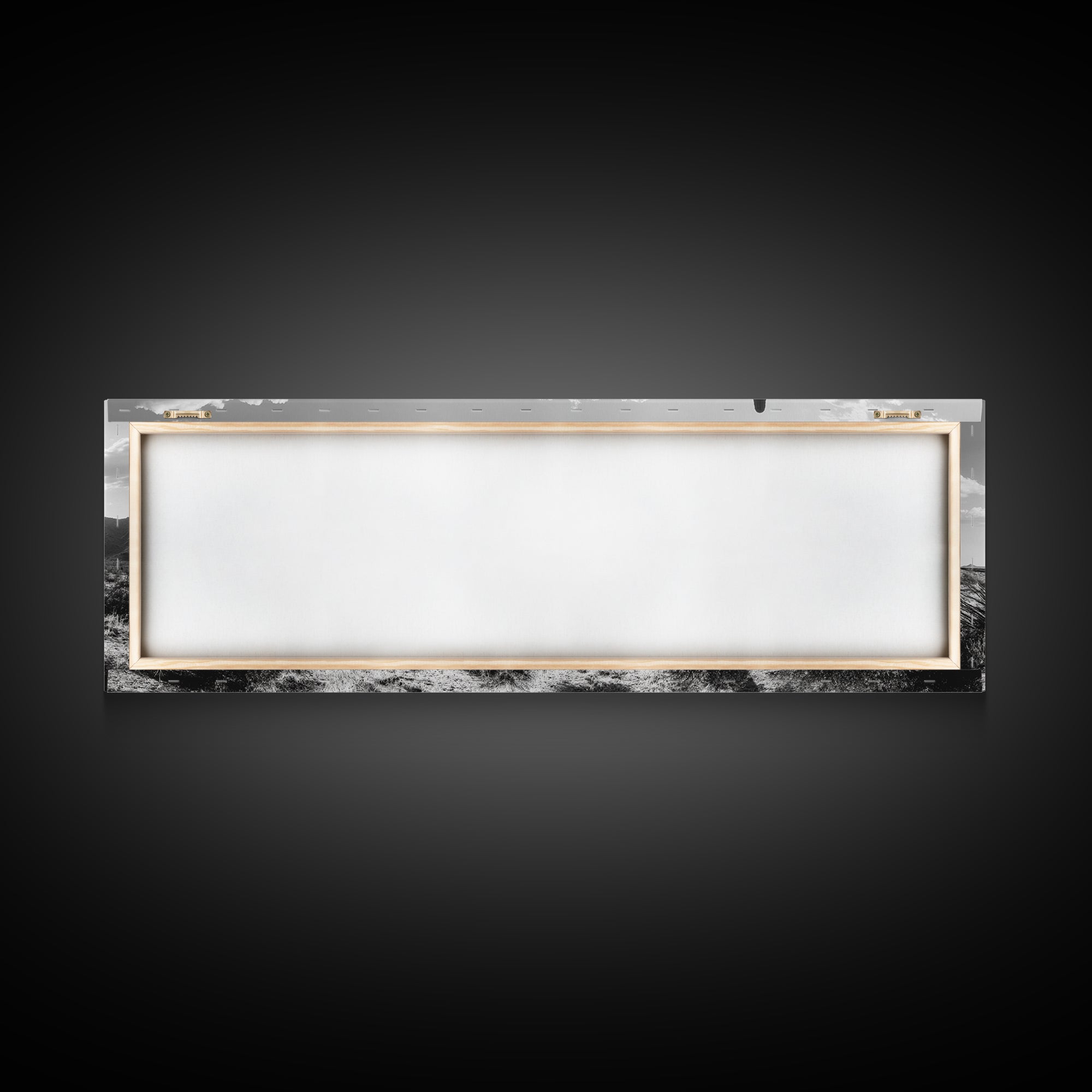 Desert Cactus, Joshua tree art, southwest wall art, extra wide art, wabi sabi art, rustic wall art, framed canvas print, panoramic art