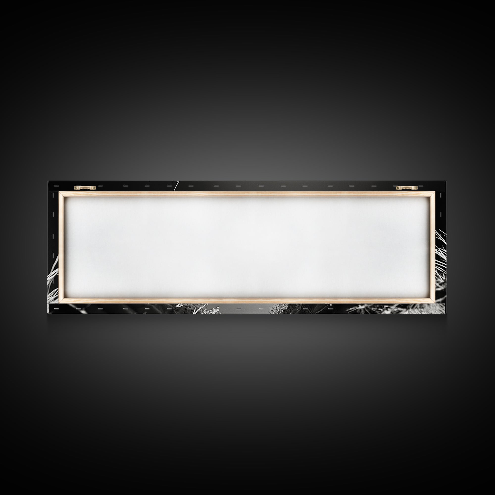 Desert Cactus, southwest wall art, moody art, Joshua tree art, extra wide wall art, nature photography, framed canvas print