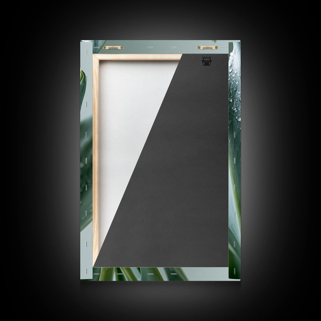 Rain on Leaves Framed Canvas Print, Spa Art, Modern Decor, Spa Decor, Fine Art, Serenity, Wall Decor, Printable Wall Art, SPA-2x3-24