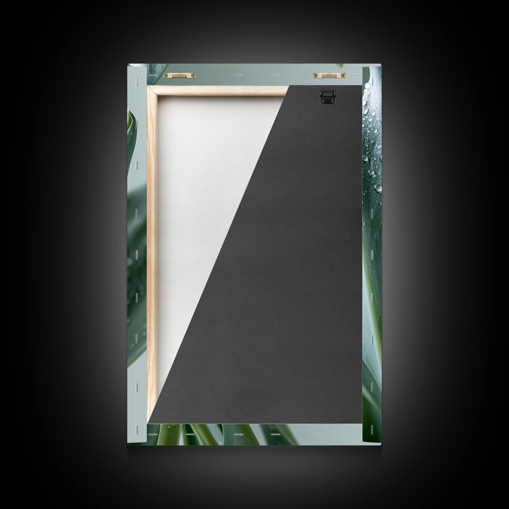 Rain on Leaves Framed Canvas Print, Spa Art, Modern Decor, Spa Decor, Fine Art, Serenity, Wall Decor, Printable Wall Art, SPA-2x3-24