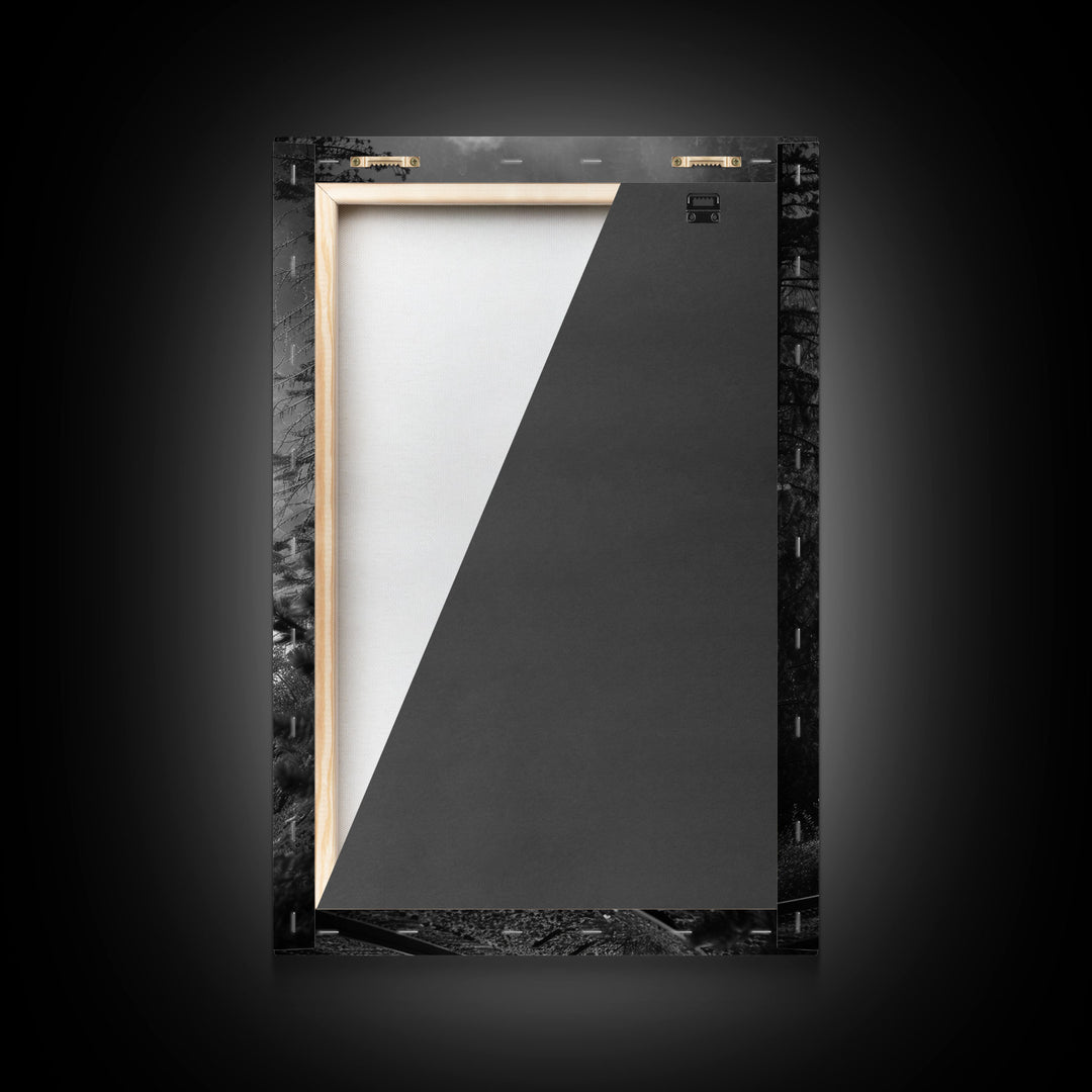 Steam Locomotive in the Forest Black and White Photography - Framed Canvas Print, Railroad Art, Vintage Train Wall Art for Home