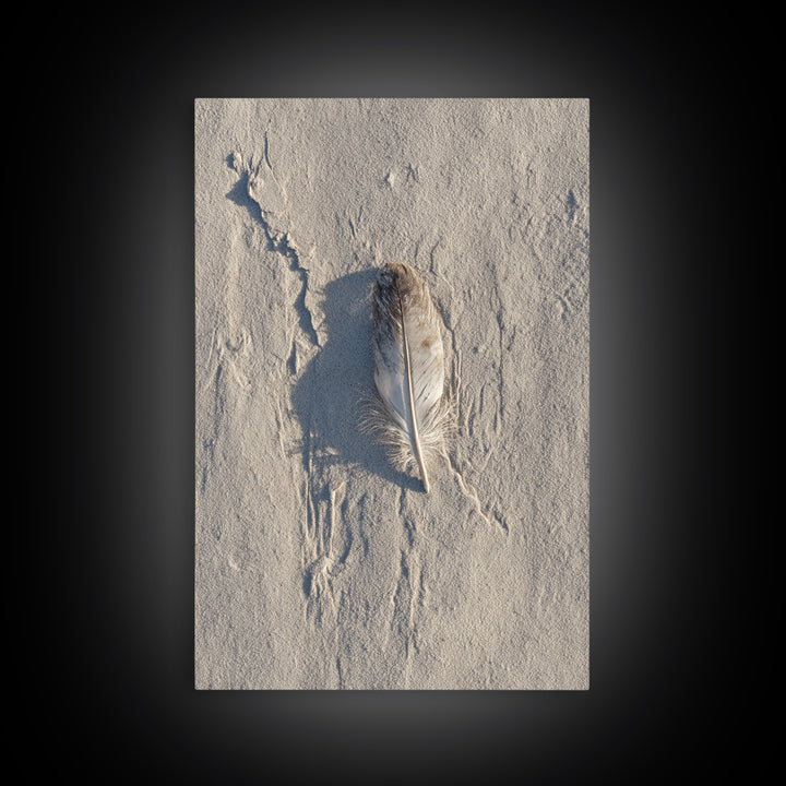 Beach Sand With Single Feather Close Up Minimalist Nature Photography Wall Art Print For Coastal Home Decor Framed Canvas Print