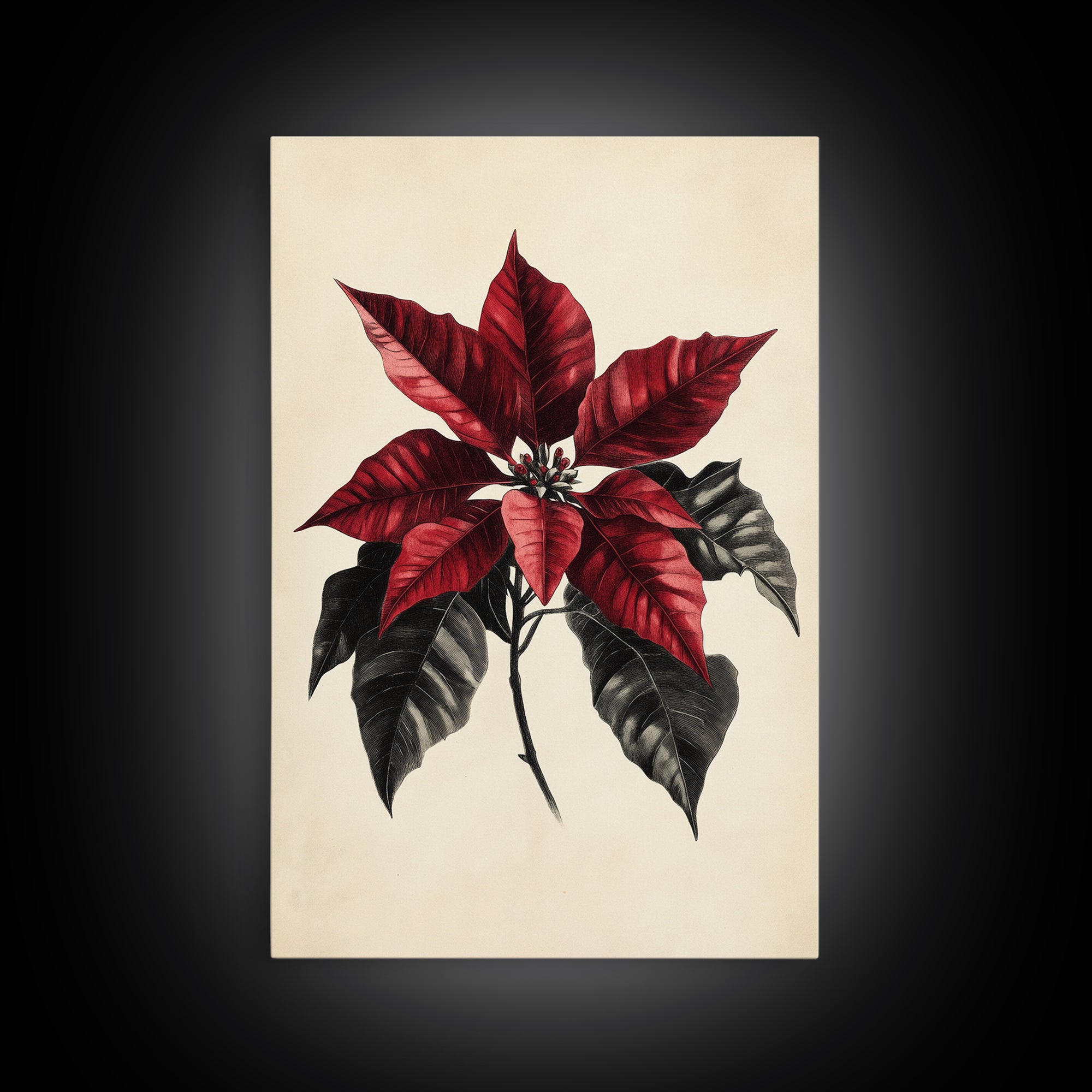 Christmas Poinsetta Canvas Print - Framed Canvas - Minimalist Christmas Art - Boho Christmas Art - Rustic Christmas Art