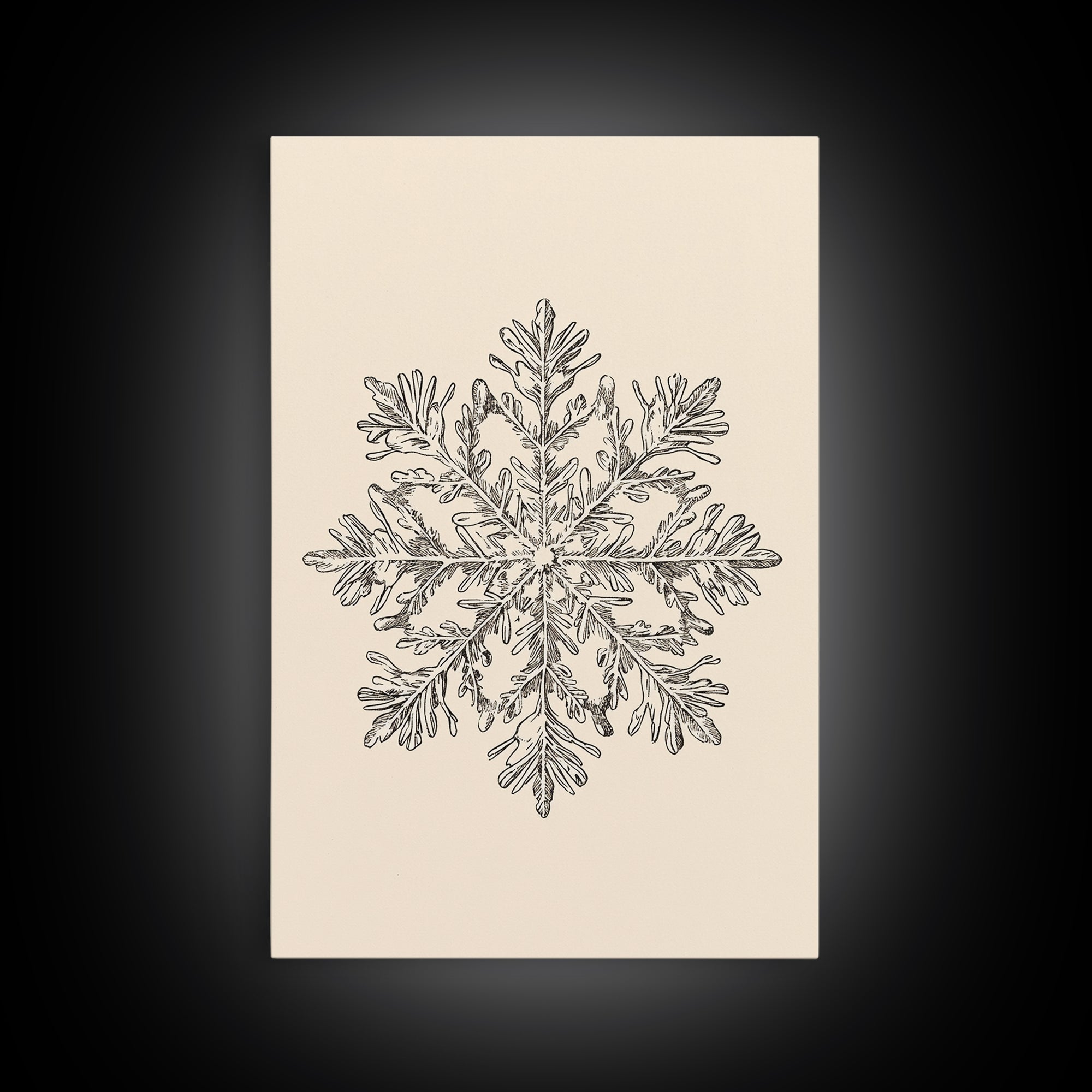 Sketch of a Snowflake Canvas Print - Framed Canvas - Minimalist Christmas Art - Boho Christmas Art - Rustic Christmas Art