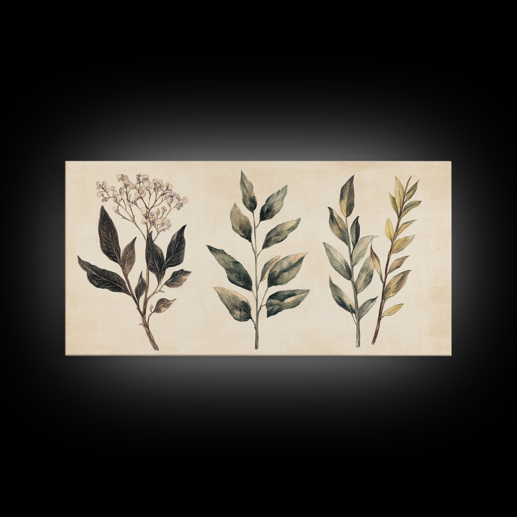 Boho Botanical Sketch Print, Botanical Wall Art, Framed Canvas Print, Minimalist Pencil Sketch Wall Art, Minimalist Home Decor, Living Room Art