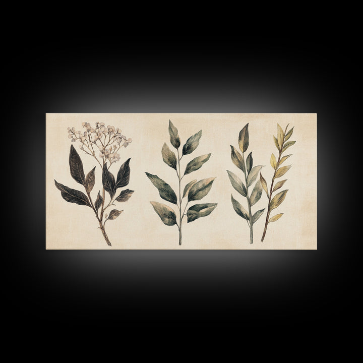 Boho Botanical Sketch Print, Botanical Wall Art, Framed Canvas Print, Minimalist Pencil Sketch Wall Art, Minimalist Home Decor, Living Room Art