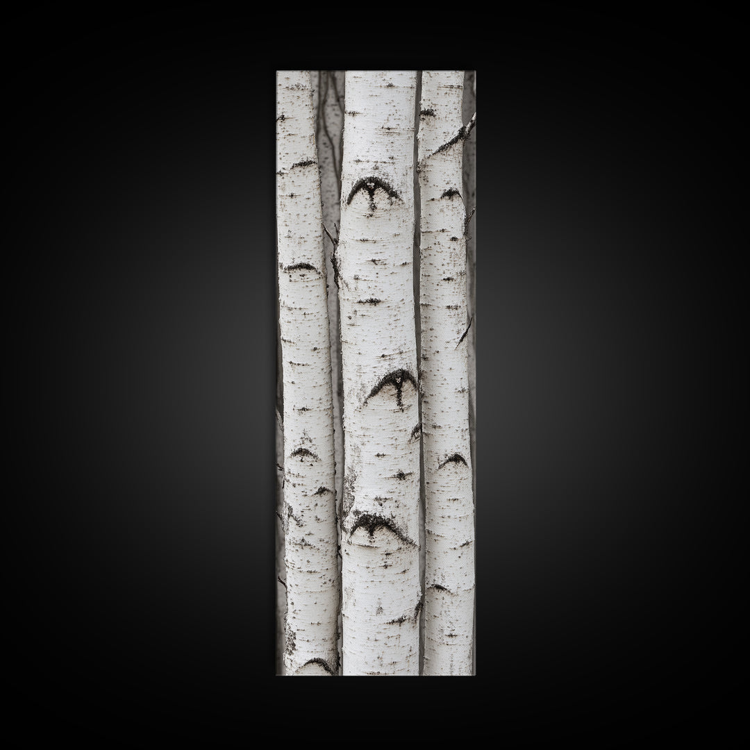Classic Birch Trees Black and White Wall Art Framed Canvas Print Rustic Farmhouse Art Tall Narrow Art Guest Room Decor