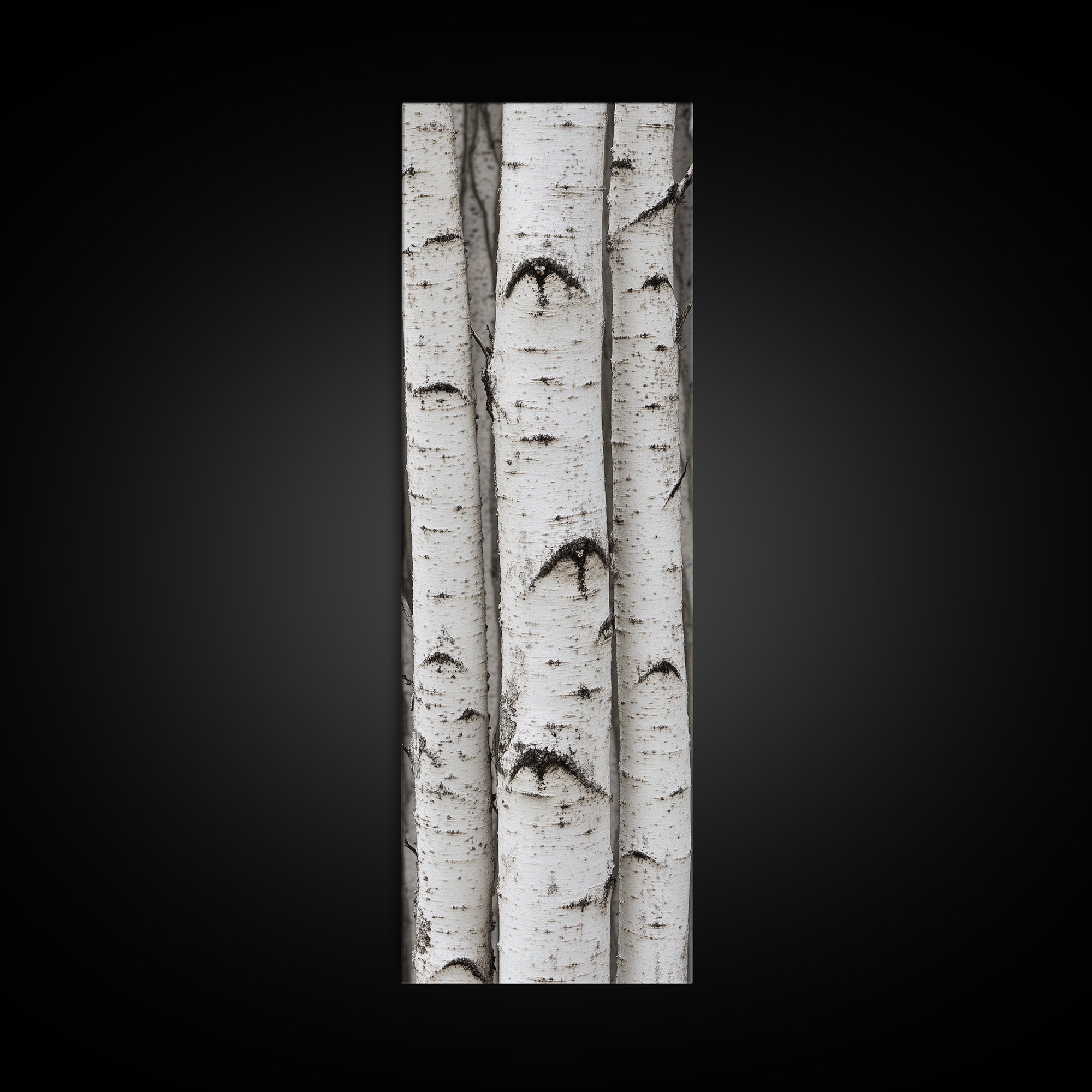 Classic Birch Trees Black and White Wall Art Framed Canvas Print Rustic Farmhouse Art Tall Narrow Art Guest Room Decor