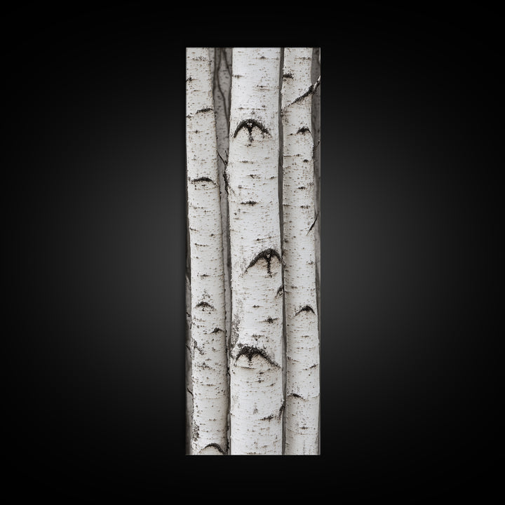 Classic Birch Trees Black and White Wall Art Framed Canvas Print Rustic Farmhouse Art Tall Narrow Art Guest Room Decor