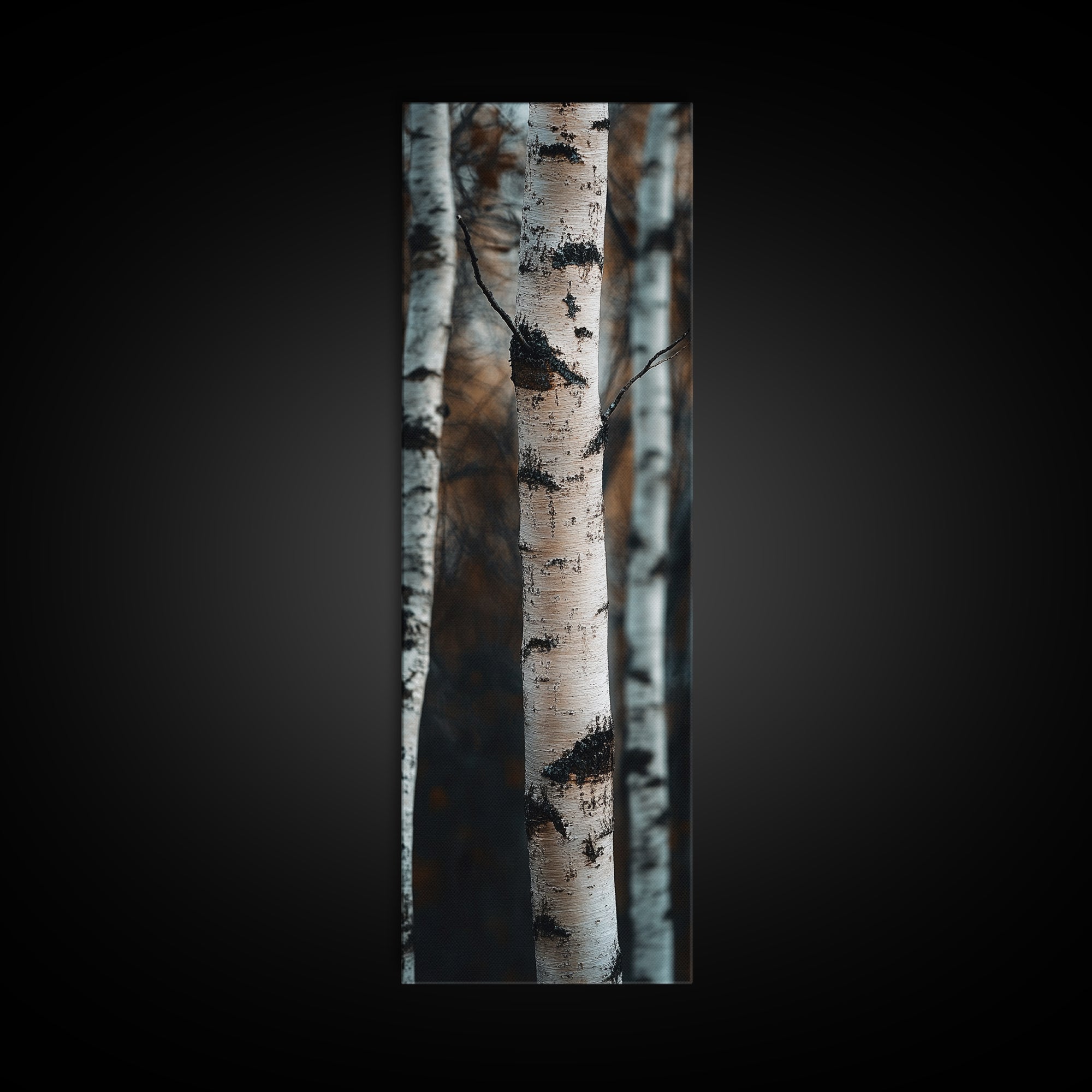 Birch Tree Forest Framed Canvas Print Rustic Wabi Sabi Woodland Art Minimalist Bedroom or Living Room Fall Wall Art Decor