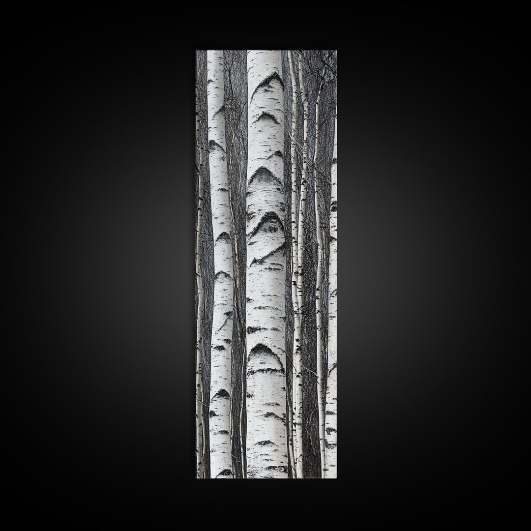 Birch Tree Forest Framed Canvas Print Rustic Nature Wall Art Farmhouse Rustic Bedroom or Living Room Decor