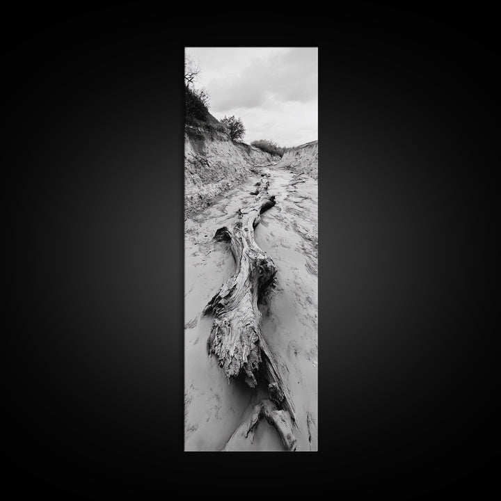 Driftwood, Nature Path, Earthy Decor, Rustic Home Style, Framed Canvas Print, Living Room Wall Art, Natural Landscape Photography
