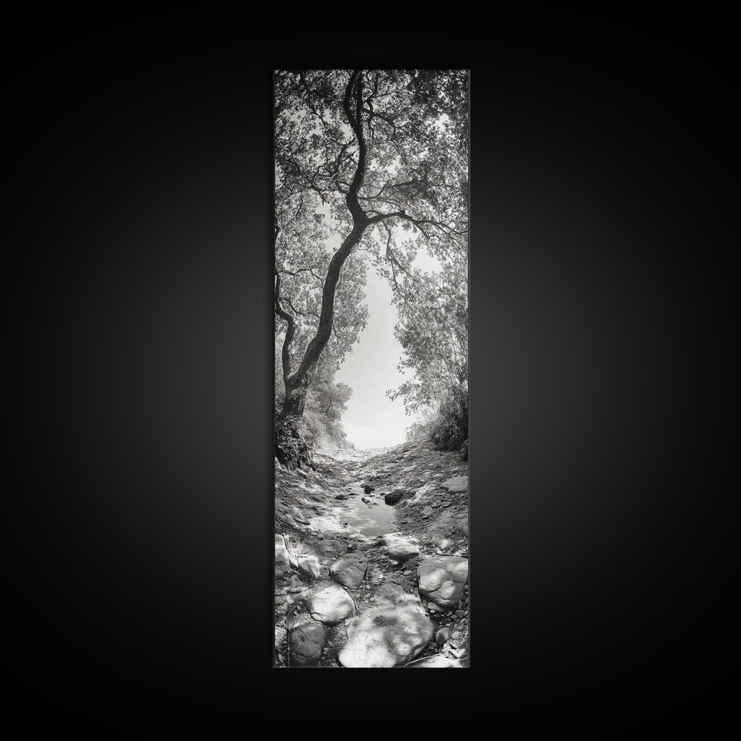 Forest Path, Rock Creek, Canopy Light, Calm Nature Scene, Canvas Print, Entryway Wall Art, Tranquil Minimalist Landscape Print