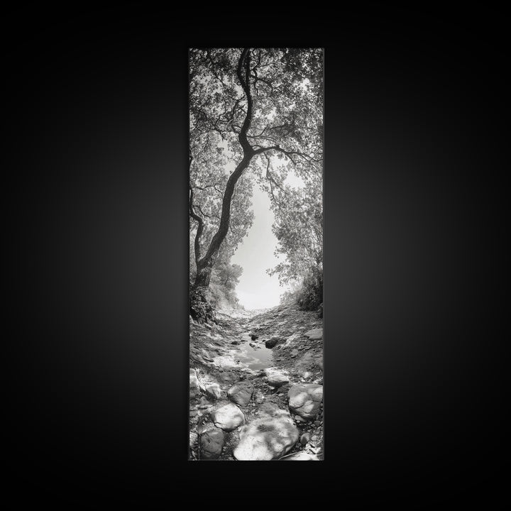 Forest Path, Rock Creek, Canopy Light, Calm Nature Scene, Canvas Print, Entryway Wall Art, Tranquil Minimalist Landscape Print