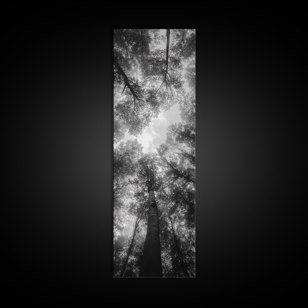 Forest Canopy, Nature Perspective, Tranquil Trees, Black and White, Framed Canvas Print, Cabin Wall Art, Scandinavian Decor, Minimalist Style