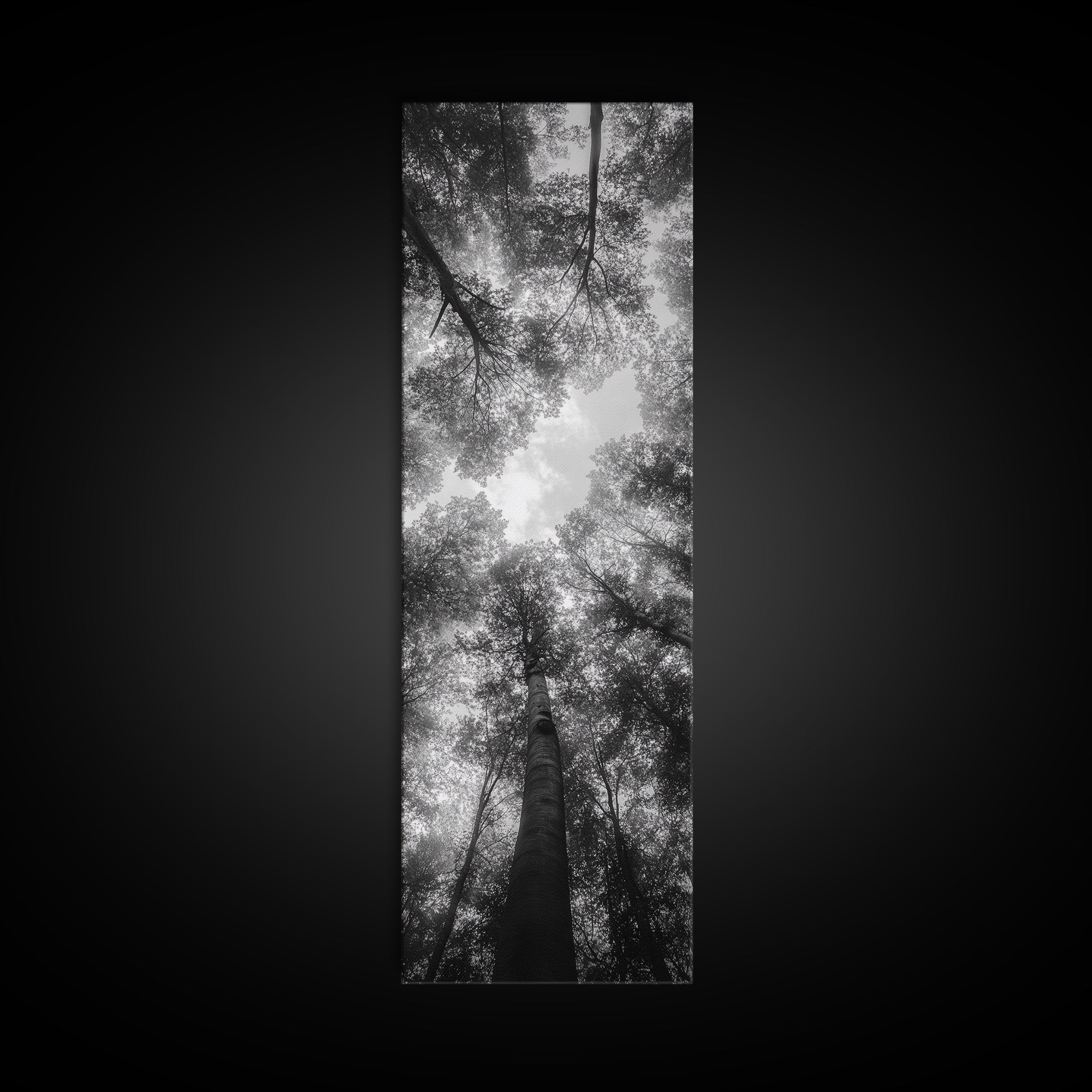Forest Canopy, Nature Perspective, Tranquil Trees, Black and White, Framed Canvas Print, Cabin Wall Art, Scandinavian Decor, Minimalist Style