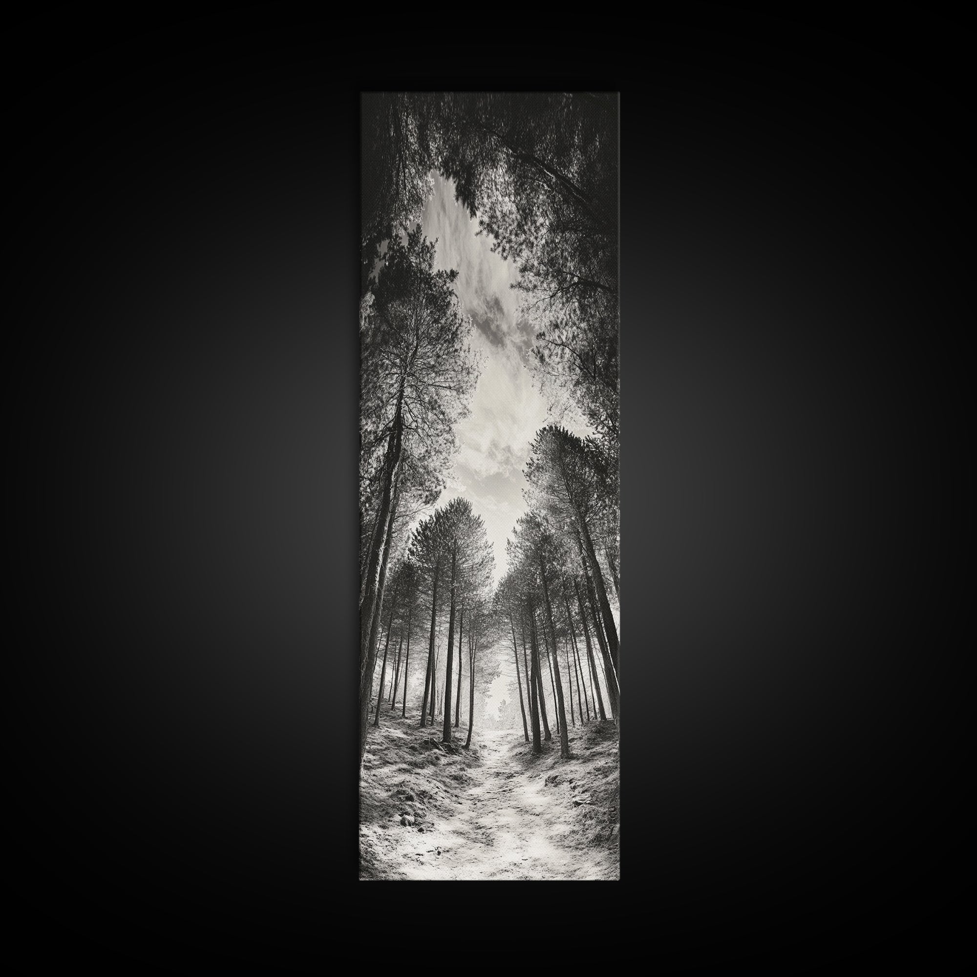 Pine Forest, Nature Path, Tree Canopy, Tranquil Woods, Canvas Print, Forest Wall Art, Minimalist Nature Decor, Meditation Room Artwork