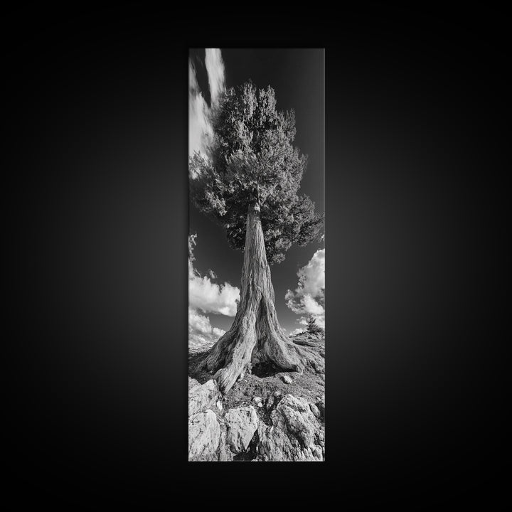 Majestic Tree, Nature Power, Earth Energy, Black White Art, Framed Canvas Print, Modern Rustic Decor, Cabin Wall Art, Tree Lover Gift