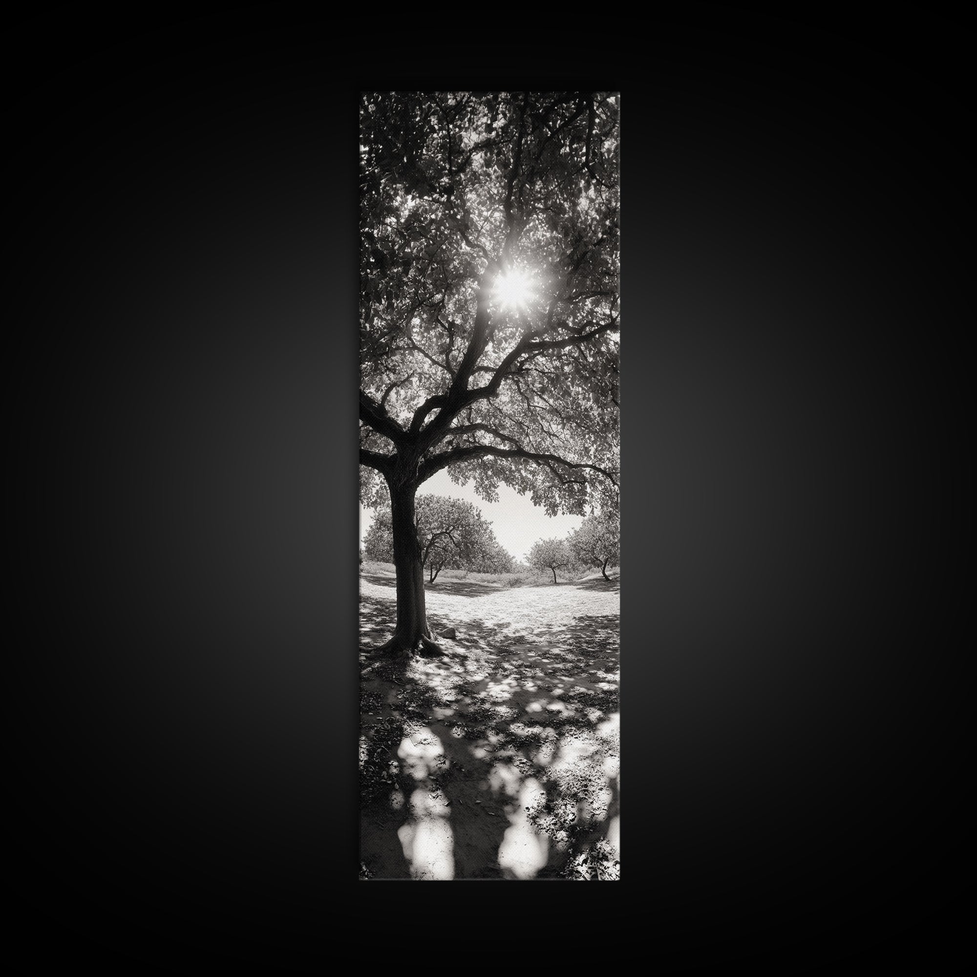 Sunlight Tree, Autumn Glow, Nature Shadowplay, Black White Forest Scene, Canvas Print, Fall Living Room Art, Boho Earthy Wall Decor