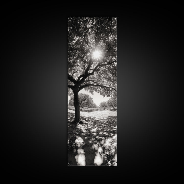 Sunlight Tree, Autumn Glow, Nature Shadowplay, Black White Forest Scene, Canvas Print, Fall Living Room Art, Boho Earthy Wall Decor