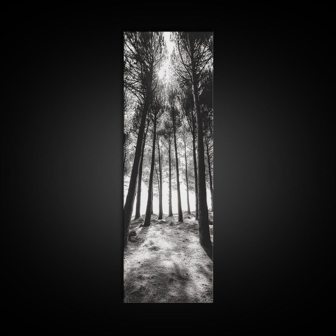 Pine Forest Glow, Woodland Landscape, Monochrome Nature, Boho Style, Framed Canvas Print, Entryway Print, Living Room Wall Art, Game Room Art