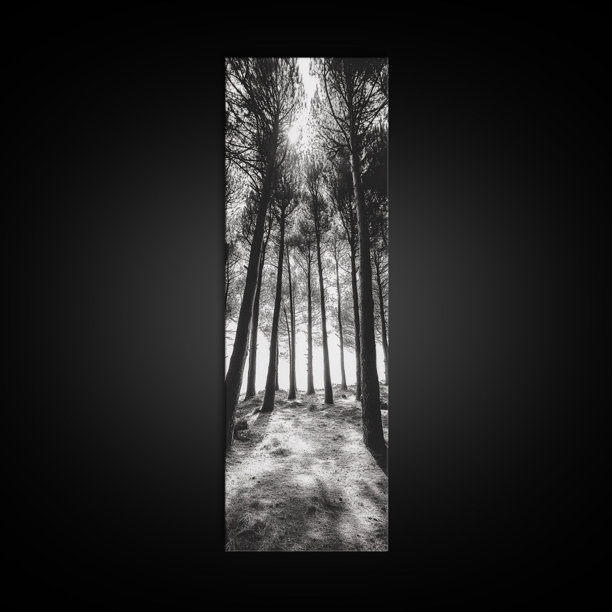 Pine Forest Glow, Woodland Landscape, Monochrome Nature, Boho Style, Framed Canvas Print, Entryway Print, Living Room Wall Art, Game Room Art