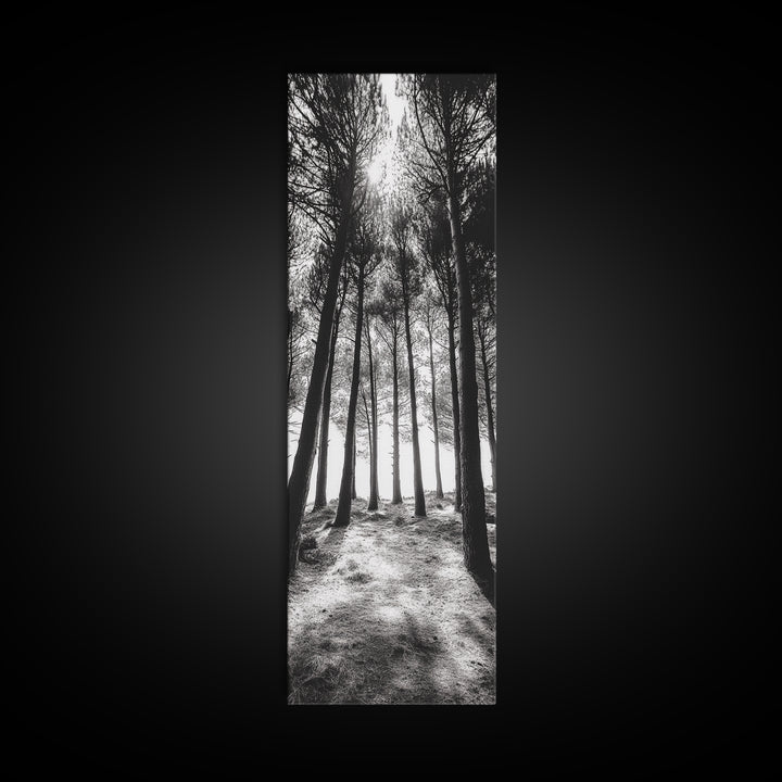 Pine Forest Glow, Woodland Landscape, Monochrome Nature, Boho Style, Framed Canvas Print, Entryway Print, Living Room Wall Art, Game Room Art