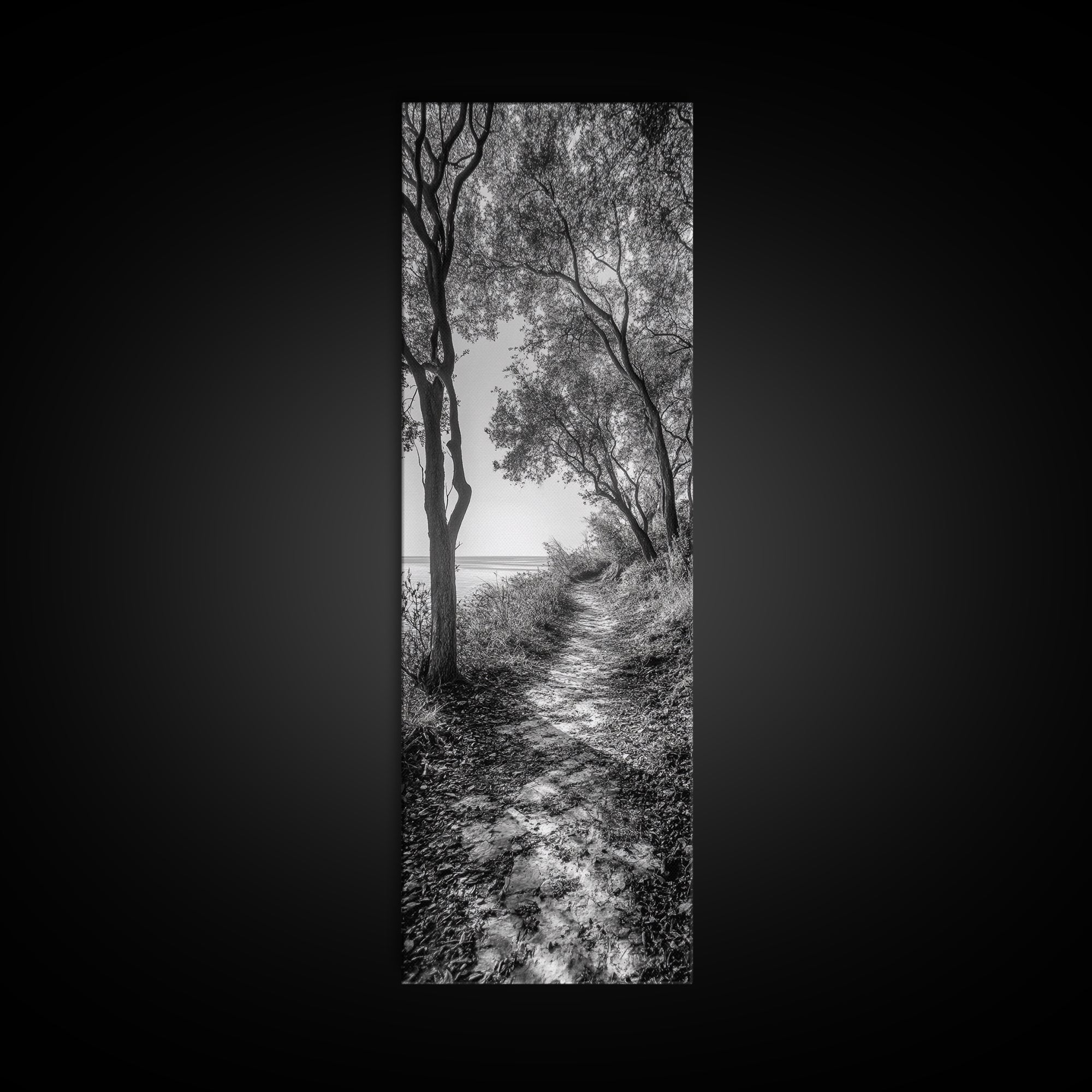 Lakeside Pathway Scene, Forest Walk Tranquility, Coastal Trail Mood, Framed Canvas Print, Nature-Lover Bedroom Wall Art, Cabin Wall Art