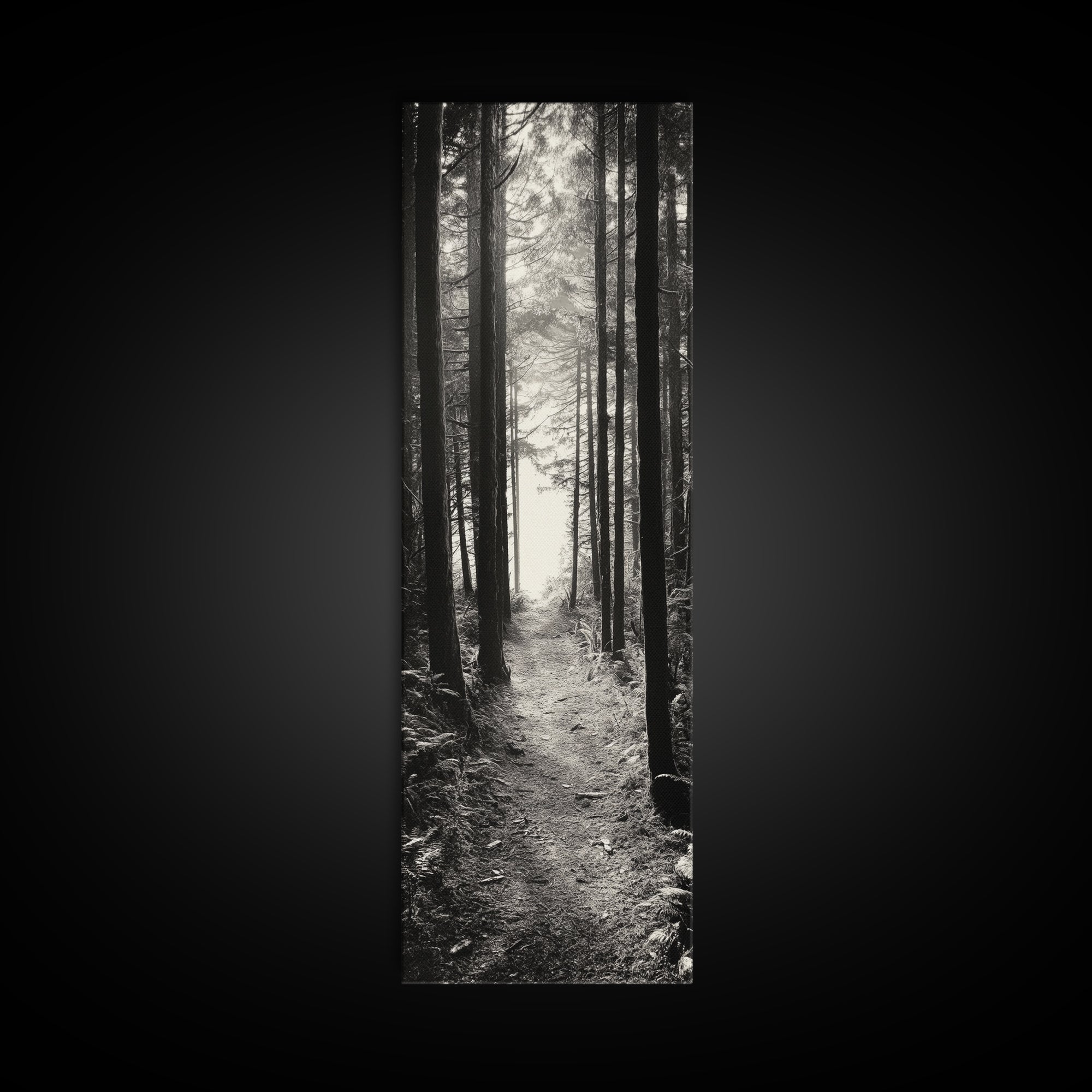 Forest Trail, Woodland Path, Light Through Trees, Nature Escape, Canvas Print, Cabin Wall Art, Cozy Autumn Home Decor, Bedroom Artwork