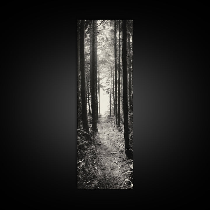 Forest Trail, Woodland Path, Light Through Trees, Nature Escape, Canvas Print, Cabin Wall Art, Cozy Autumn Home Decor, Bedroom Artwork
