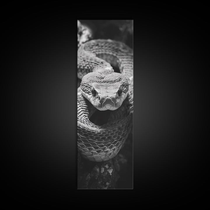 Coiled Snake, Wild Reptile, Black and White Snake, Fierce Eyes, Framed Canvas Print, Nature Lover Wall Art, Masculine Office Decor
