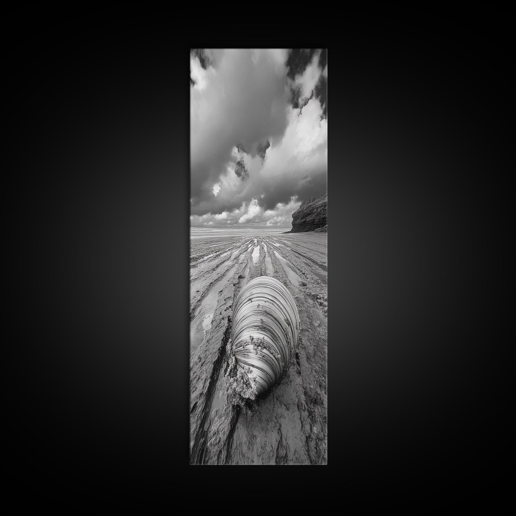 Ocean Clam, Moody Beach, Tidal Lines, Coastal Detail, Canvas Print, Nautical Bathroom Wall Art, Black and White Ocean Decor,  Den Wall Piece