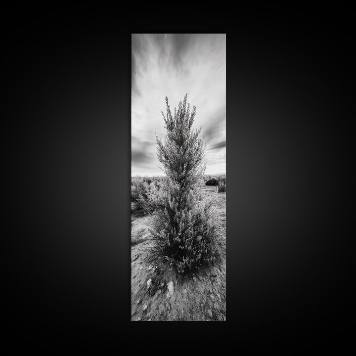 Desert Tree, Nature Minimalism, Solitary Landscape, Framed Canvas Print, Living Room Wall Art, Earth Tone Art, Tranquil Modern Decor