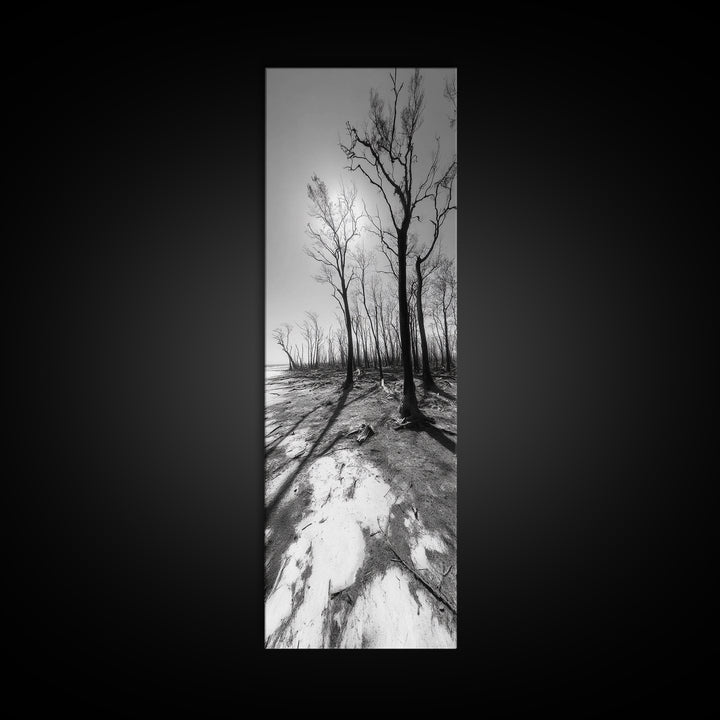 Haunting Tree Silhouettes, Forest Edge, Black White Nature, Desert Trees, Framed Canvas Print, Fall Art, Living Room Wall Art