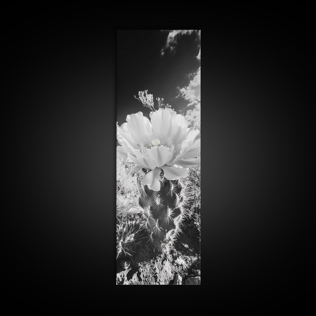 Desert Bloom Cactus, Southwest Art, Nature Floral Print, Cactus Photography, Framed Canvas Print, Kitchen Wall Art, Boho Wall Decor