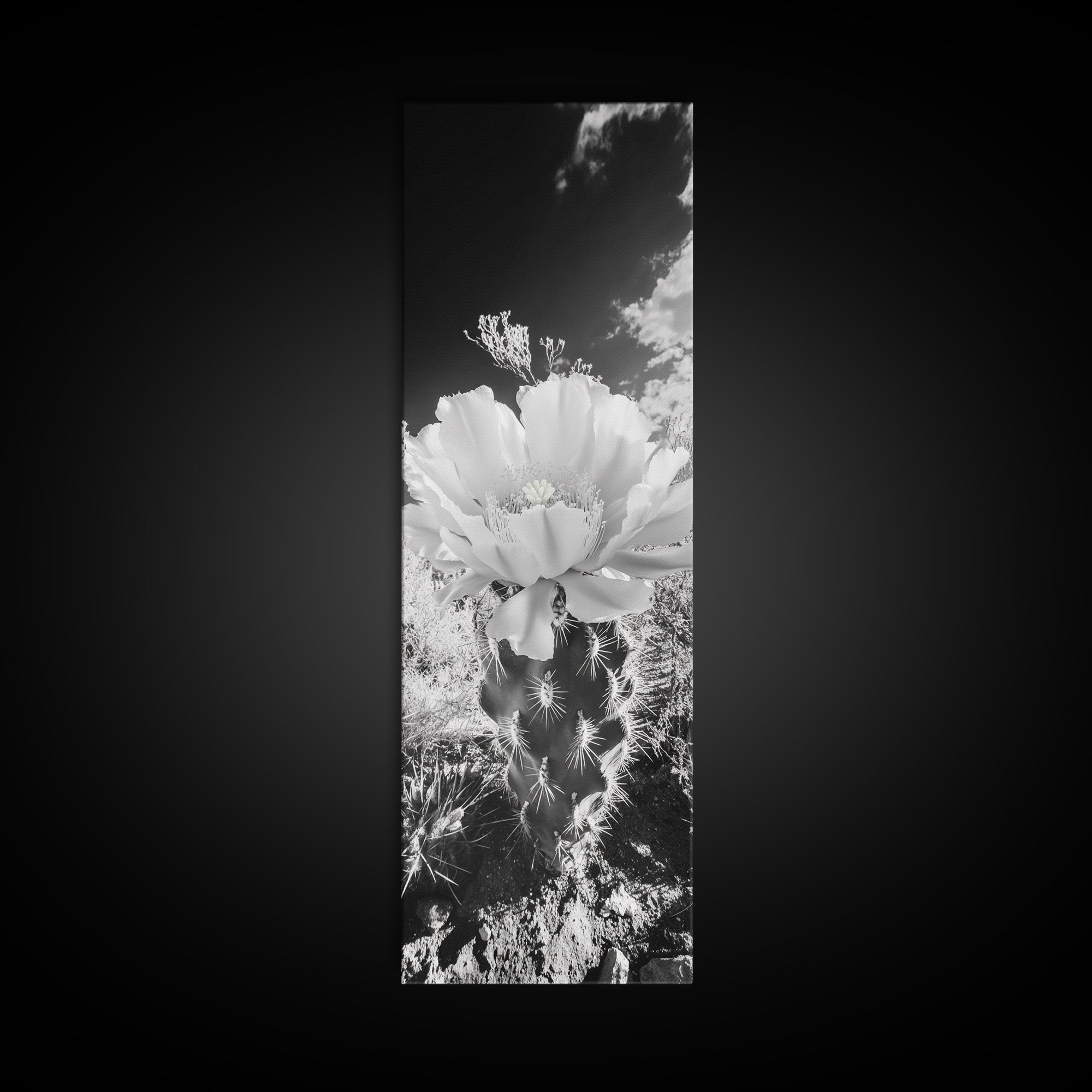 Desert Bloom Cactus, Southwest Art, Nature Floral Print, Cactus Photography, Framed Canvas Print, Kitchen Wall Art, Boho Wall Decor