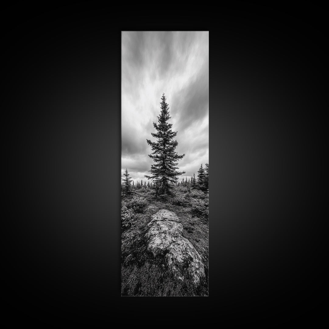 Lone Pine Tree, Forest Mood, Wilderness Art, Framed Canvas Print, Minimalist Wall Decor, Cabin Art, Neutral Fall Tones, Nature Lover Gift