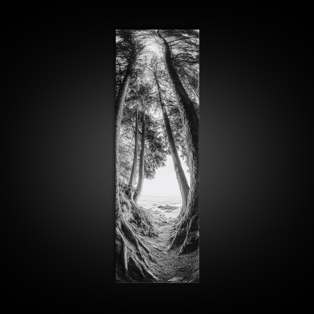 Forest Path, Ocean View, Tall Trees, Canvas Print, Black and White Nature Art, Entryway Wall Art, Rustic Woodland Aesthetic, Bedroom Wall Art