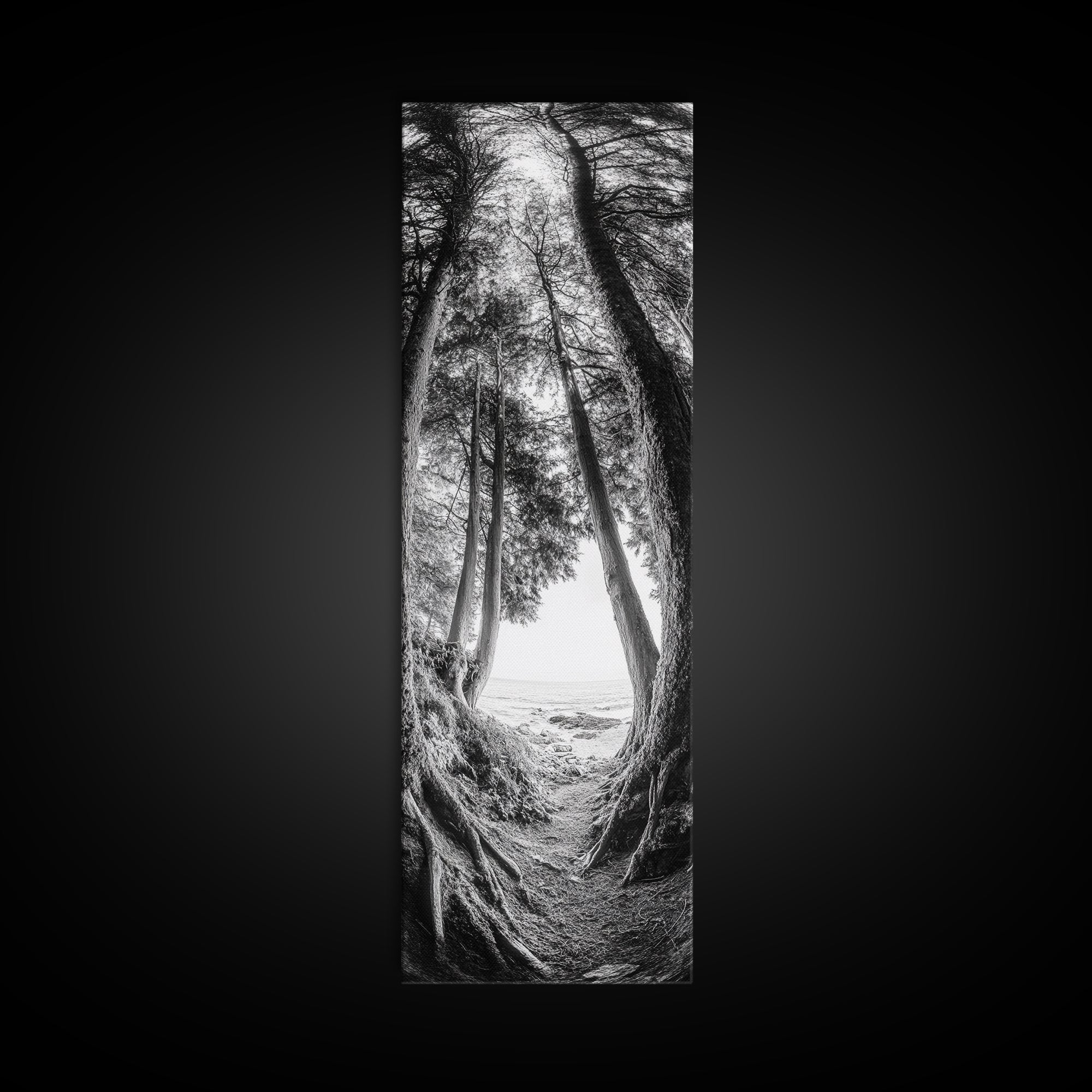 Forest Path, Ocean View, Tall Trees, Canvas Print, Black and White Nature Art, Entryway Wall Art, Rustic Woodland Aesthetic, Bedroom Wall Art