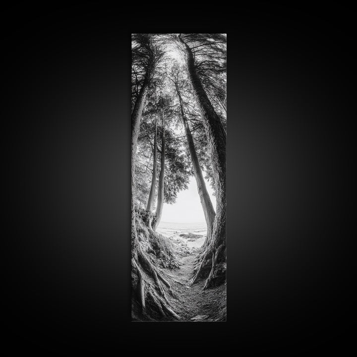 Forest Path, Ocean View, Tall Trees, Canvas Print, Black and White Nature Art, Entryway Wall Art, Rustic Woodland Aesthetic, Bedroom Wall Art